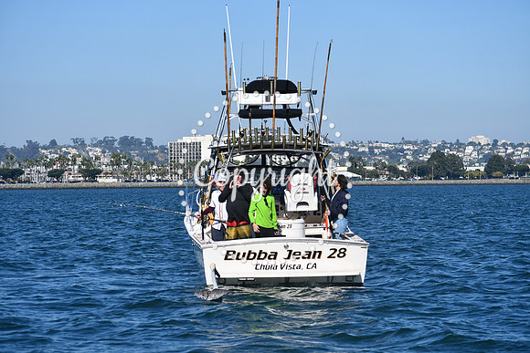 DSC_1496 (1)