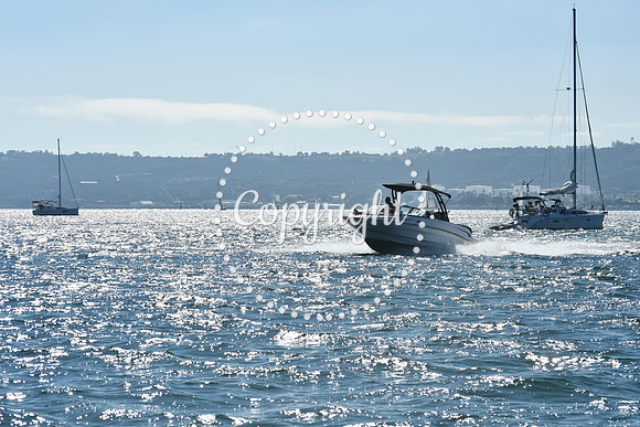 DSC_1457 (1)