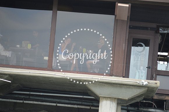 DSC_0260 - Copy