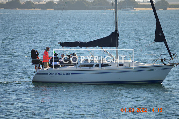 DSC_0110 (1)