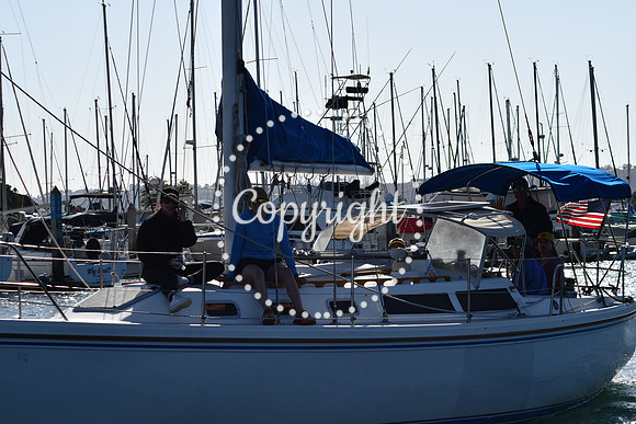 DSC_2176 (1)