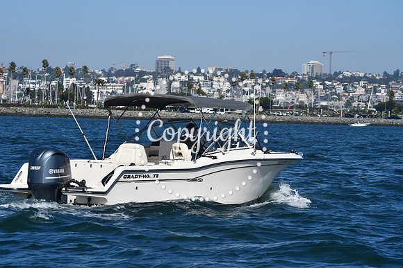 DSC_1456 (1)