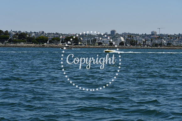 DSC_0168 (1)
