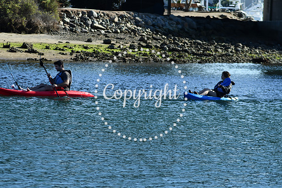 DSC_2212 (1)