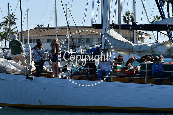 DSC_2066 (1)