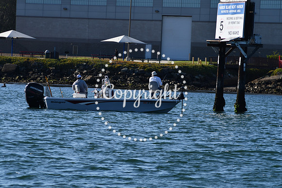 DSC_2237 (1)