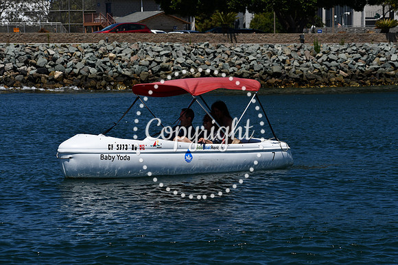 DSC_0079 (1)