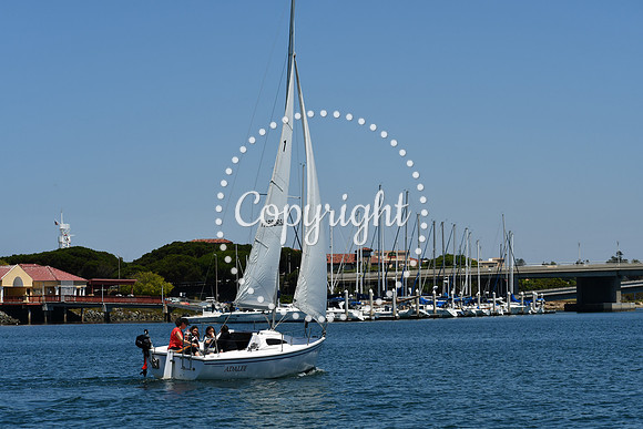 DSC_0066 (1)