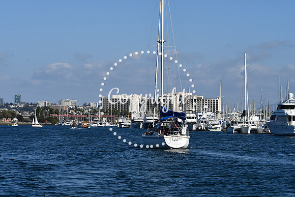 DSC_2180 (1)