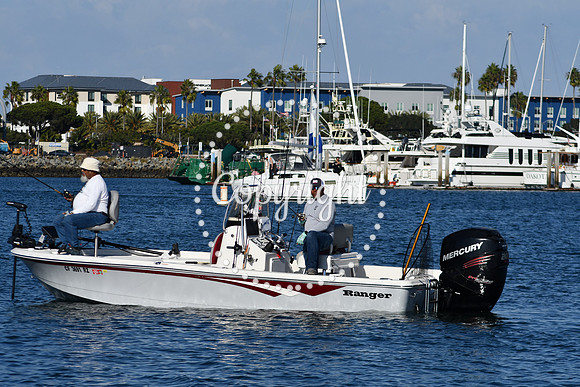 DSC_2252 (1)