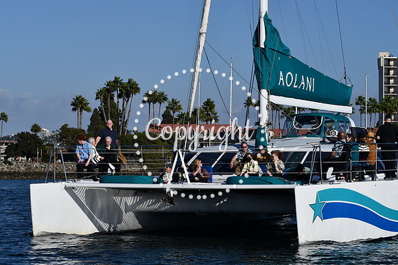 DSC_2371 (1)