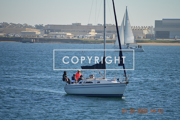 DSC_0105 (1)