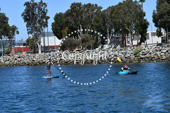 DSC_0040 (1)
