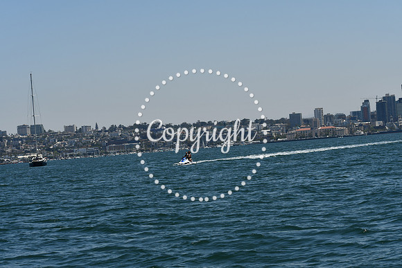DSC_0154 (1)