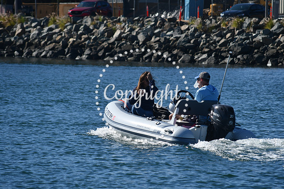 DSC_1542 (1)