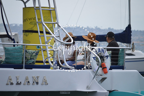 DSC_0237 - Copy