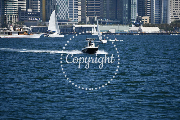 DSC_0561 (1)