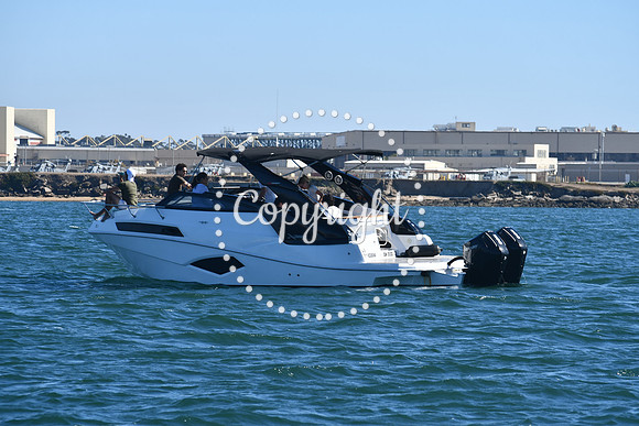 DSC_1469 (1)