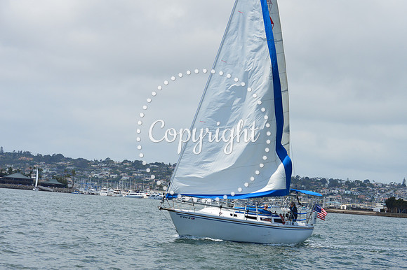 DSC_0048 - Copy