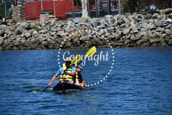 DSC_0035 (1)