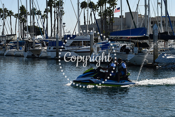 DSC_2080 (1)