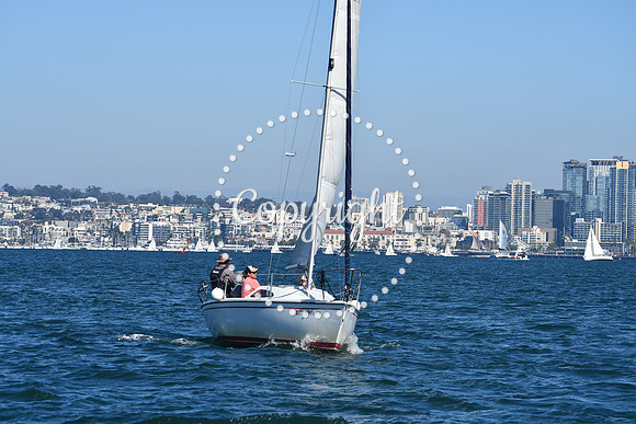 DSC_1490 (1)