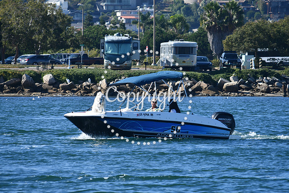DSC_1508 (1)