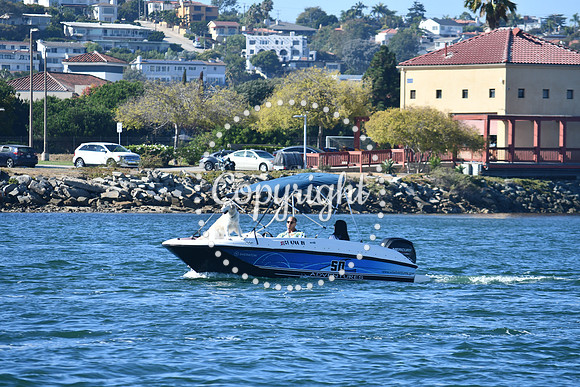 DSC_1504 (1)