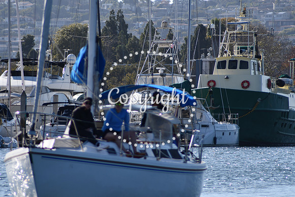 DSC_2171 (1)
