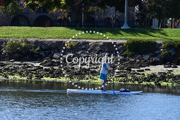 DSC_2196 (1)