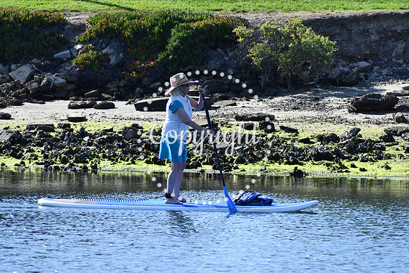 DSC_2199 (1)