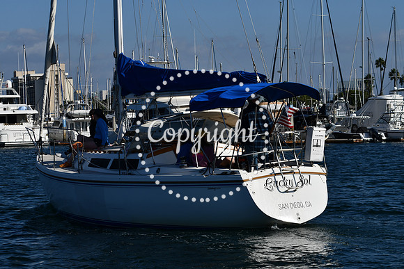 DSC_2179 (1)