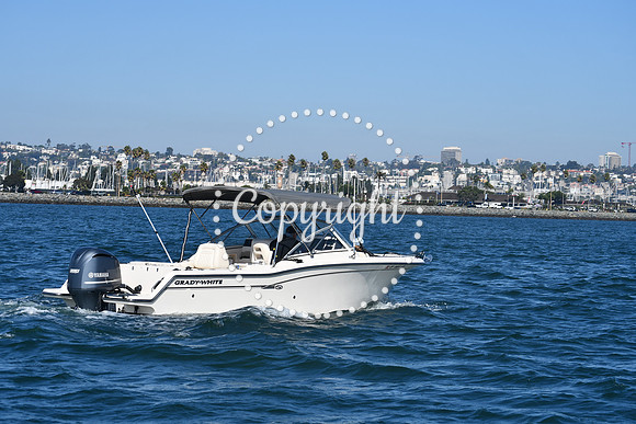 DSC_1455 (1)