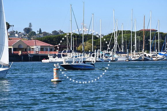 DSC_1503 (1)