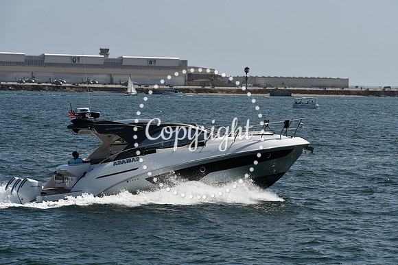 DSC_0619 (1)