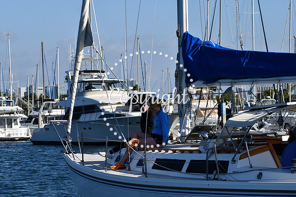 DSC_2178 (1)