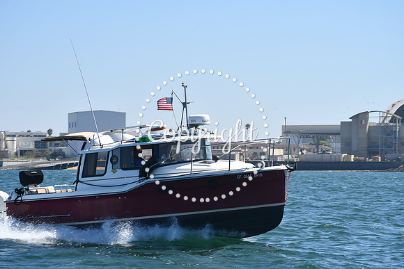 DSC_1281 (1)