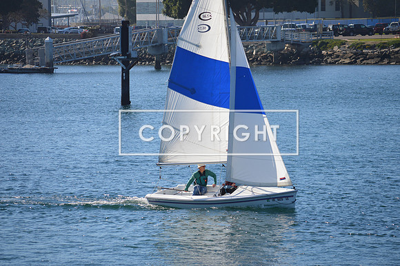 DSC_0091 (1)