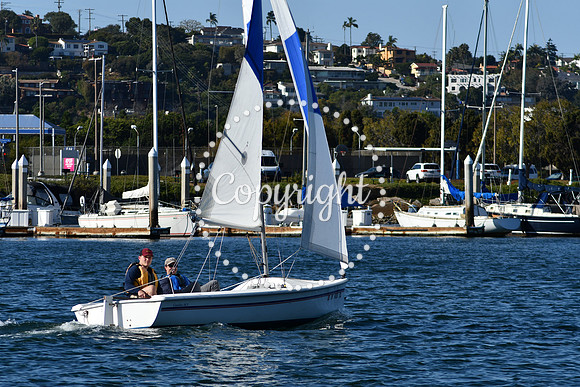 DSC_2243 (1)