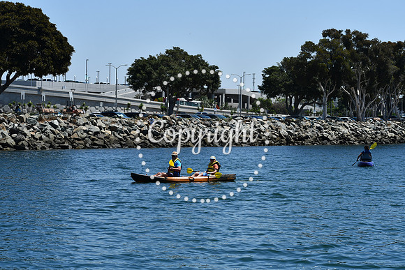 DSC_0046 (1)