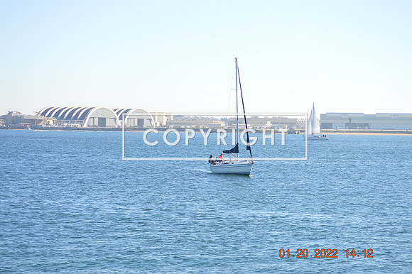 DSC_0103 (1)