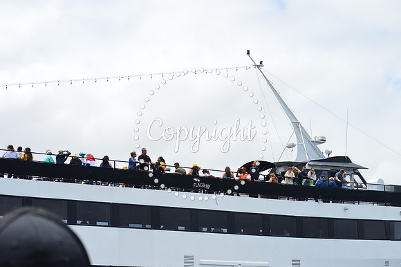 DSC_0075 - Copy