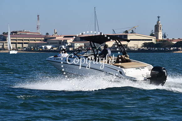 DSC_1464 (1)