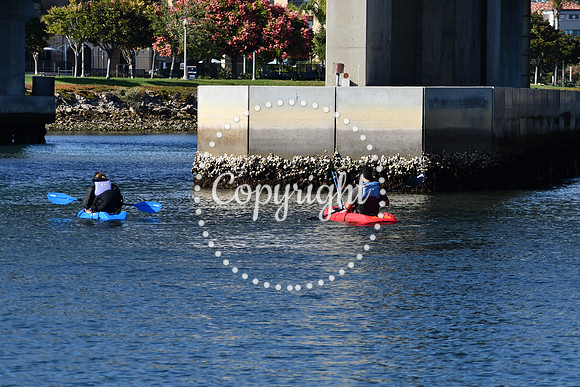 DSC_2188 (1)