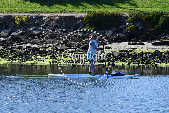 DSC_2197 (1)