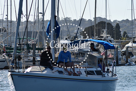 DSC_2173 (1)