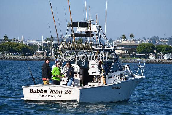 DSC_1493 (1)