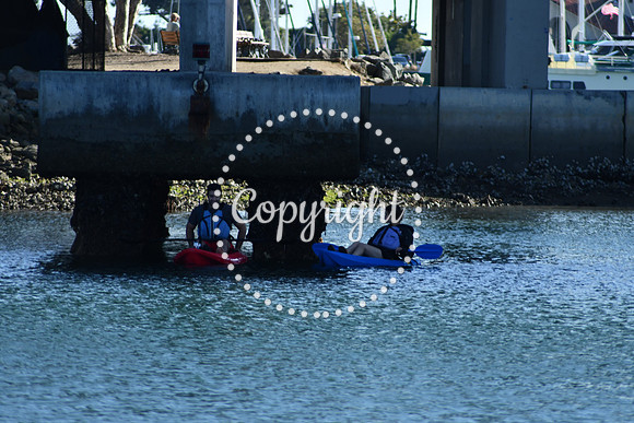 DSC_2207 (1)