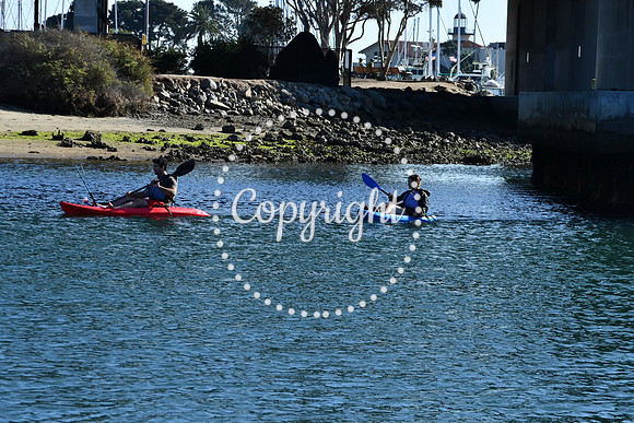 DSC_2211 (1)