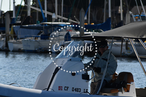 DSC_2184 (1)